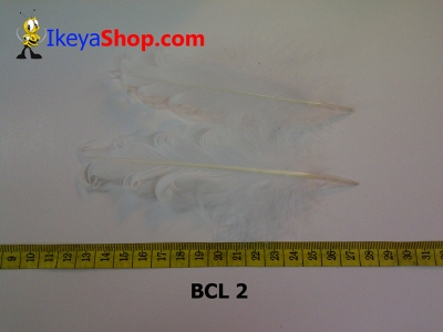 bulu curly BCL 2   feather  large2